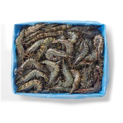 PRAWNS BLACK TIGER RAW U8 AUST 3KG # 4836301 TASSAL